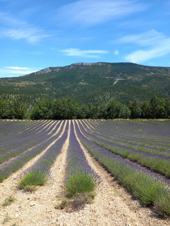 La Plume Du Ventoux Suite 305 Mollans-sur-Ouveze Exterior photo